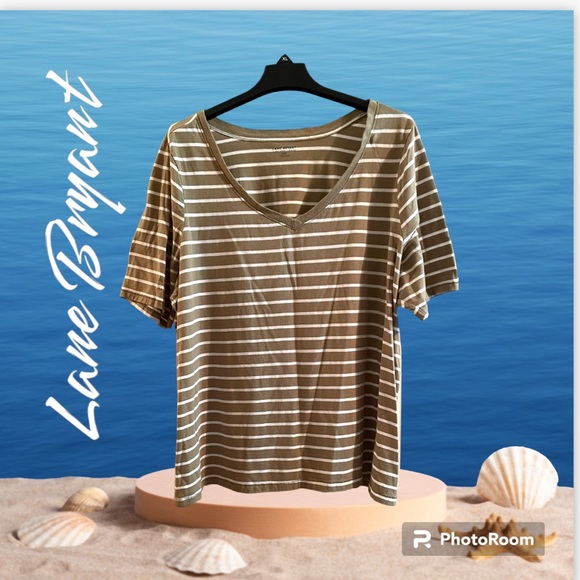 Adorable Lane Bryant Plus size Tee. Tan & white stripes short sleeve Size 22/24 - Picture 1 of 8